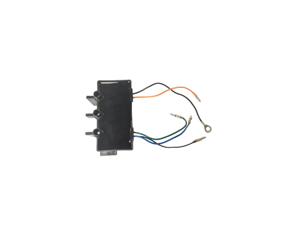 ITOM outboard ignition component